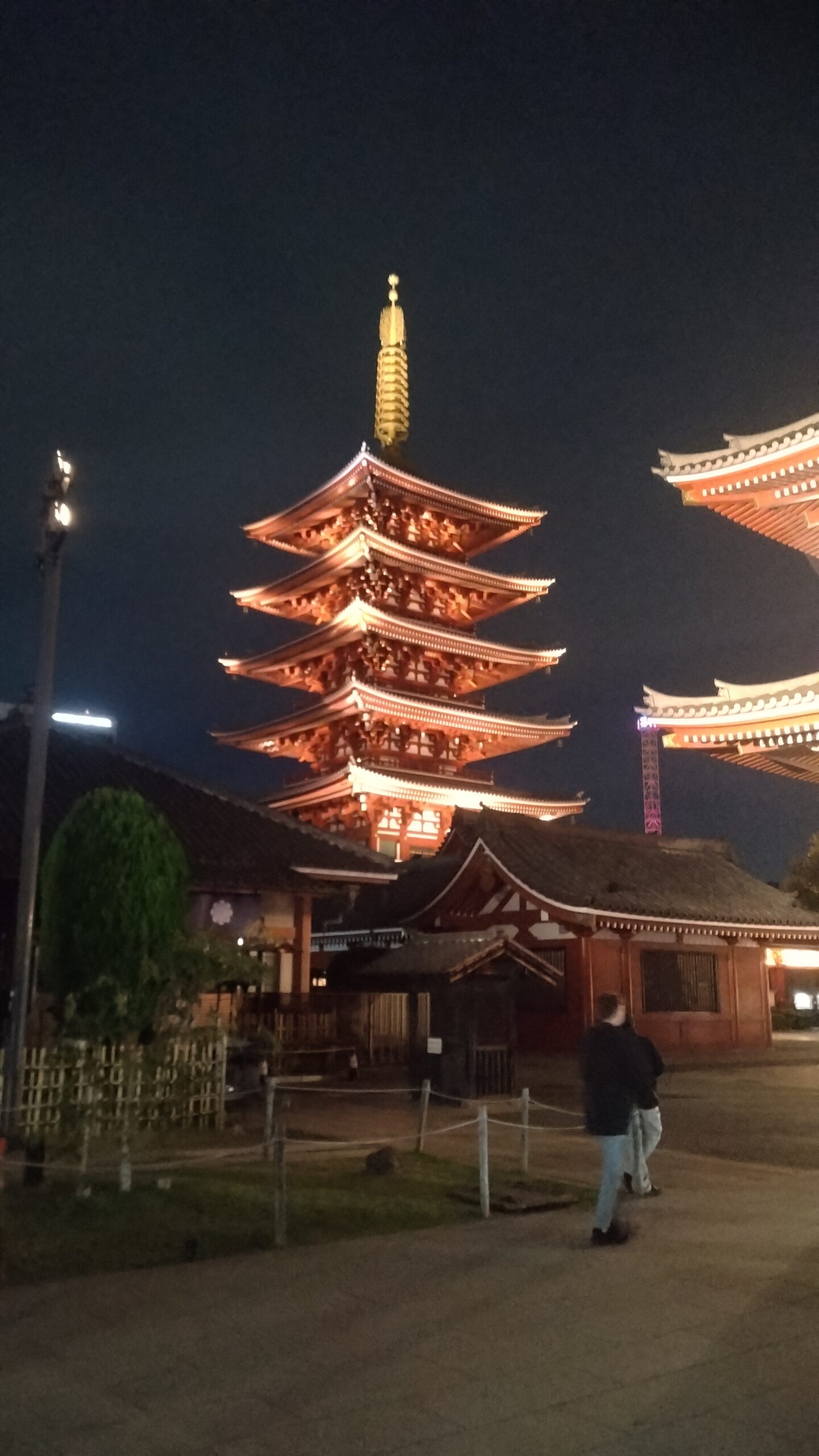 浅草夜さんぽ｜ライトアップされた浅草寺と奥山おまいりまちを歩く癒しの夜