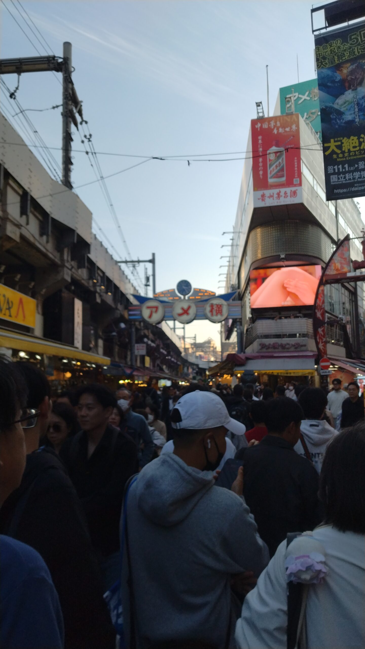 【上野散歩】混雑必至だけど楽しい！アメ横の週末を歩いてみた